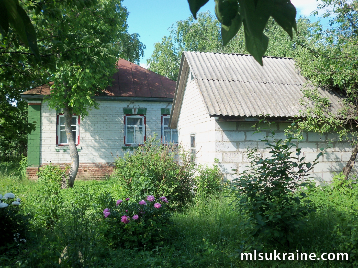 Оголошення 20050005
