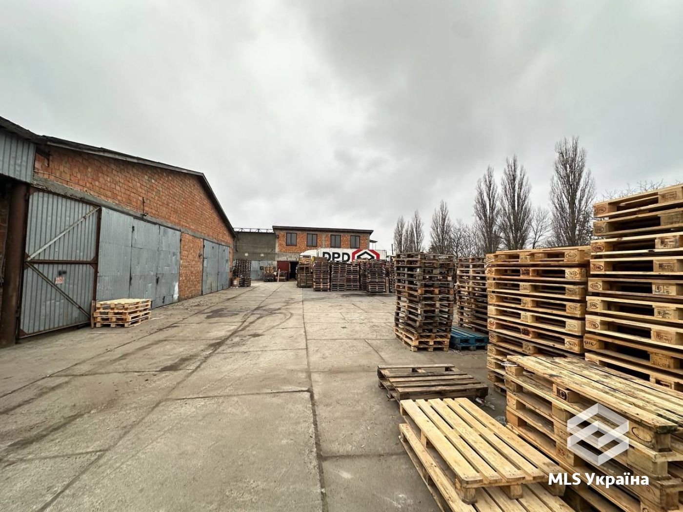 Оголошення 24120144