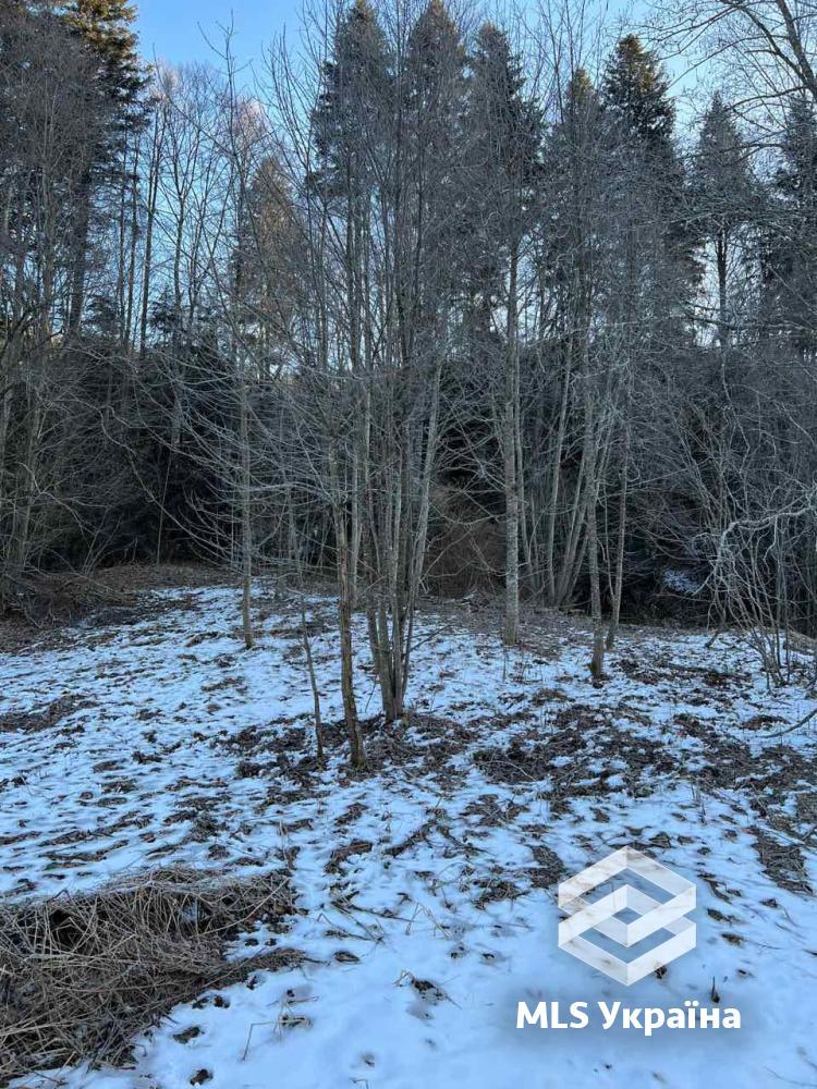 Оголошення 25020191