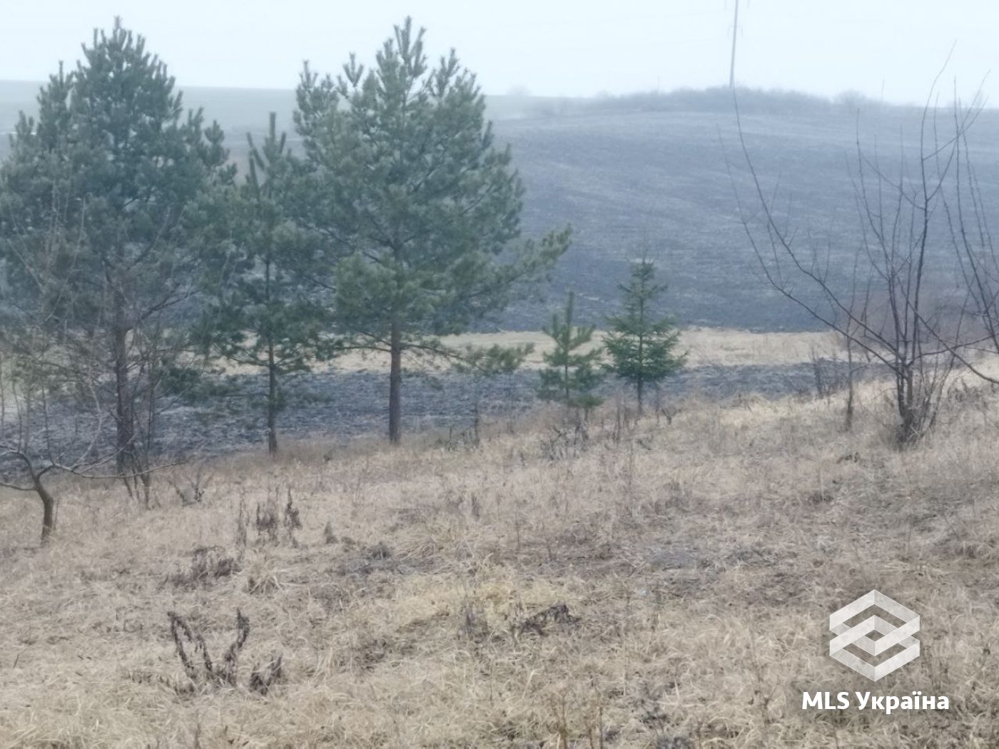 Оголошення 25010404