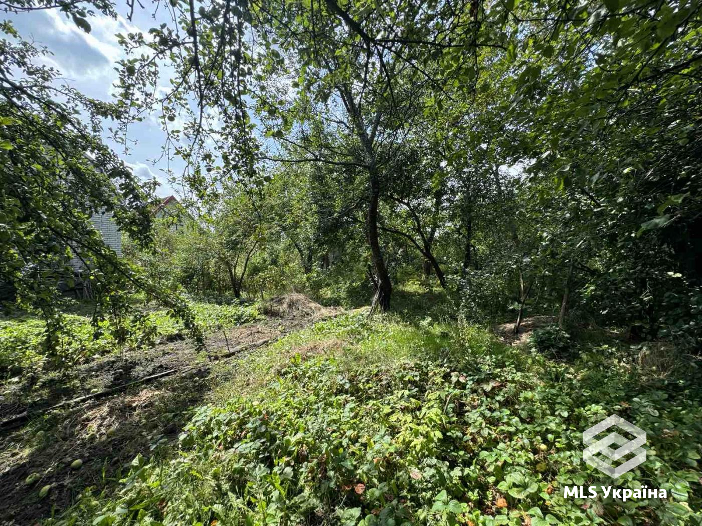Будинок за адресою (площа 38 м²) - Atlanta.ua - фото 5