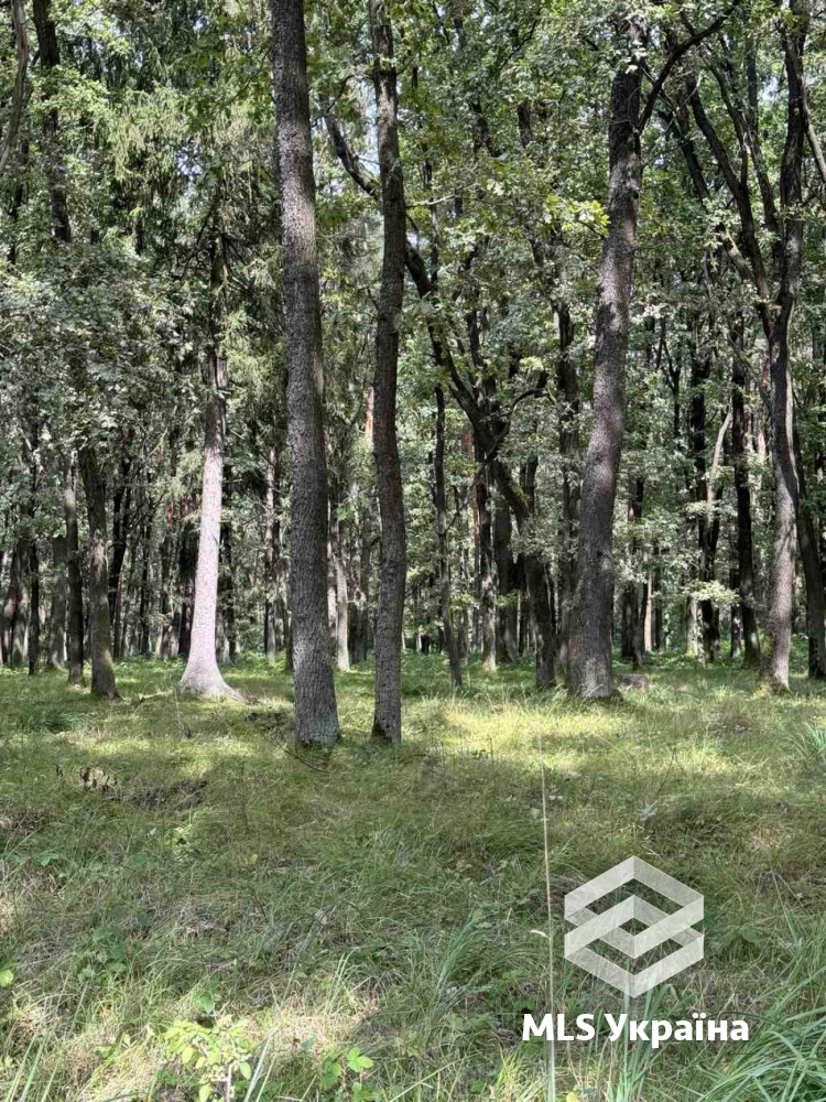 Будинок за адресою (площа 38 м²) - Atlanta.ua - фото 14