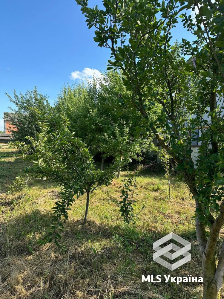 Будинок за адресою (площа 215 м²) - Atlanta.ua - фото 5