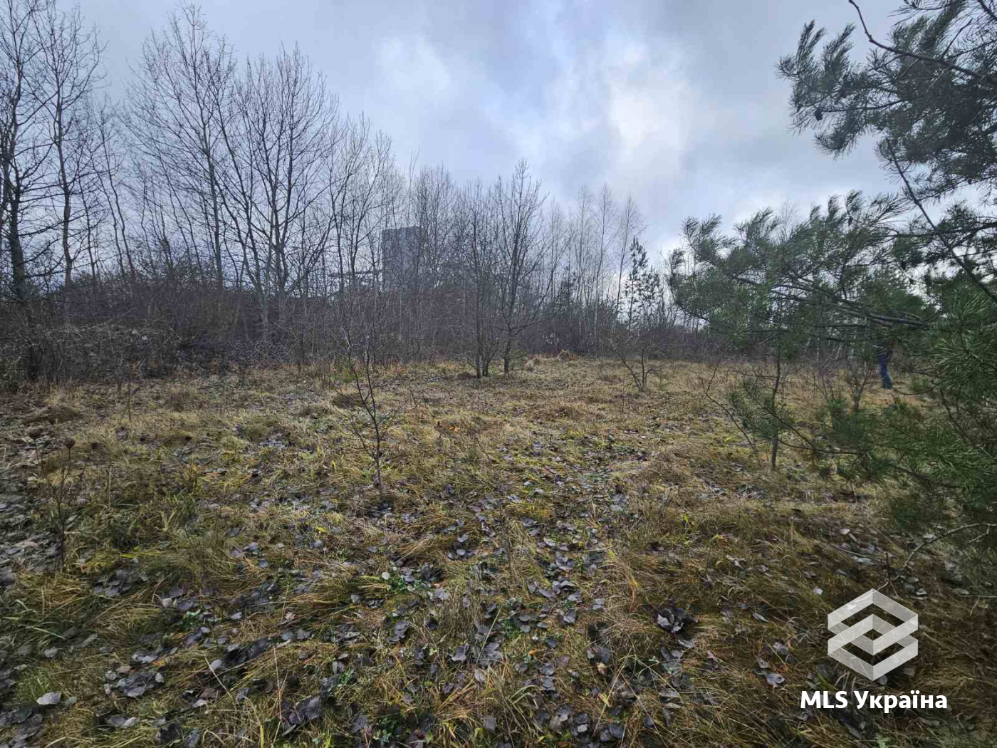 Оголошення 26010007