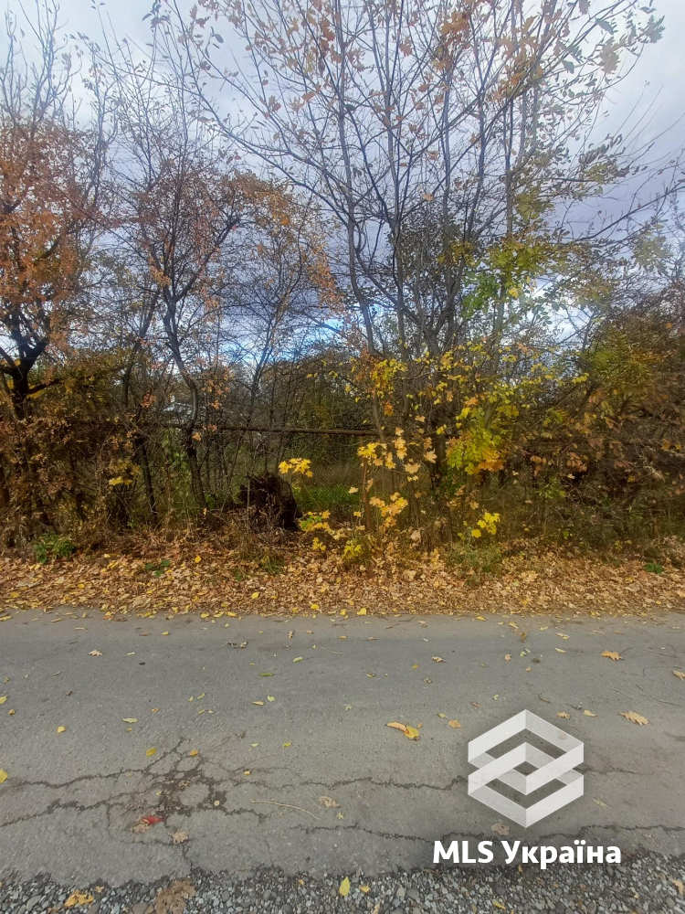Оголошення 26010034