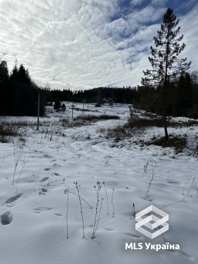 Оголошення 26030021