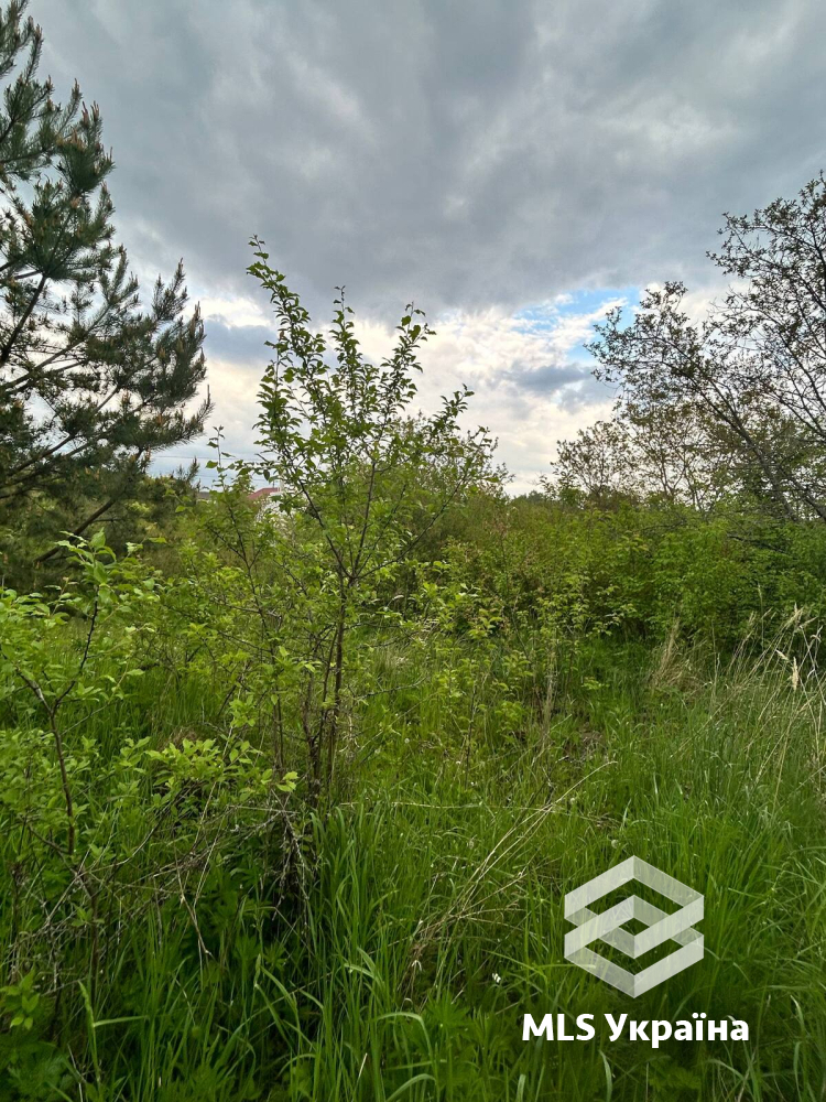 Оголошення 26050227