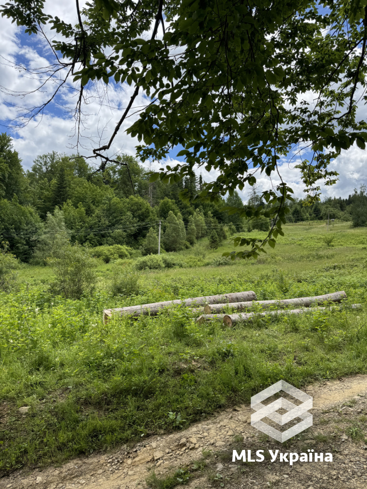 Оголошення 26030021