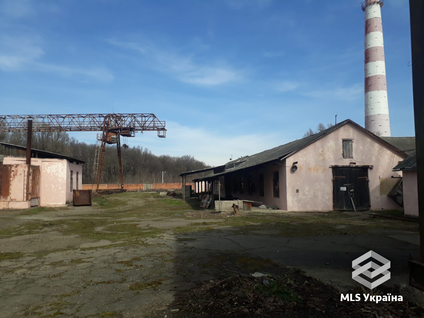 Комерційна нерухомість - м. Чернівці, Садгора - 4000 м²