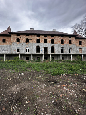 Чернівецька обл., с. Витилівка, вул. Січнева