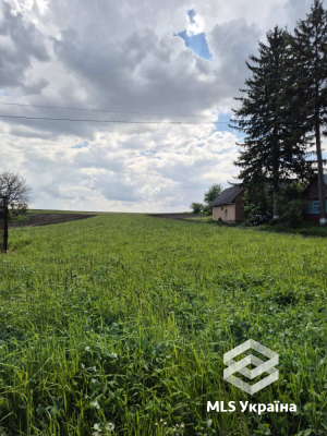 Волинська обл., с. Воротнів, вул. Застав'є