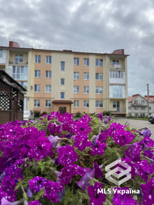 Волинська обл., м. Луцьк, вул. Прасолів