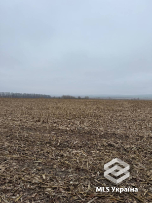 Хмельницька обл., c. Пирогівці, 