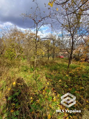 Чернівецька обл., м. Чернівці, вул. Петрозаводська