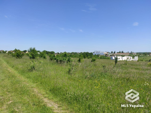 Хмельницька обл., с. Лісові Гринівці, вул. Польова