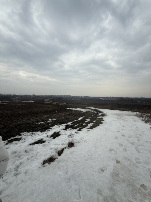 Чернівецька обл., м. Чернівці, вул. Руська