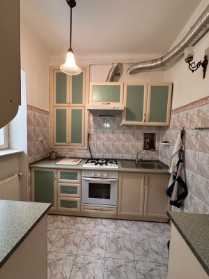 Львівська обл., м. Львів, вул. Снопківська