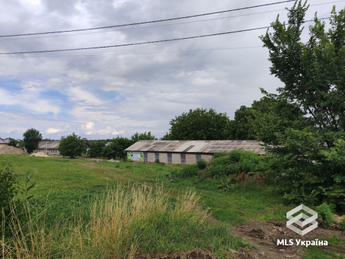 Чернівецька обл., с. Великий Кучурів, вул. Головна