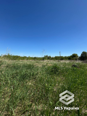 Хмельницька обл., с. Карпівці, вул. Лісова
