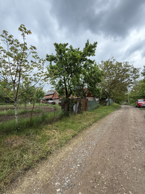 Чернівецька обл., м. Чернівці, вул. Лужанська