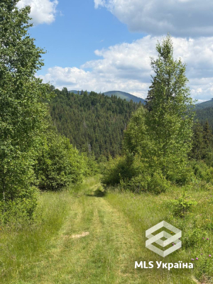 Івано-Франківська обл., с. Вишків, хут. Сіда