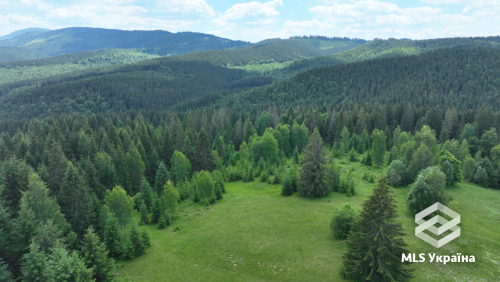 Івано-Франківська обл., с. Вишків, ур. Калиновець
