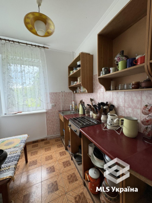 Львівська обл., с. Єлиховичі, Пролісок