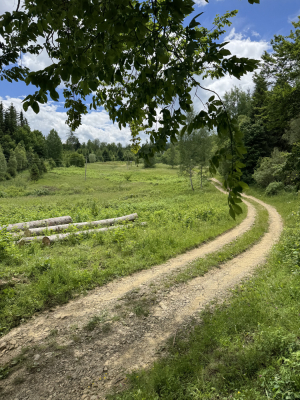 Чернівецька обл., с. Мигове, Солонецька