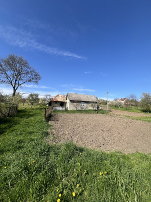 Чернівецька обл., с. Коровія, вул. Перемоги