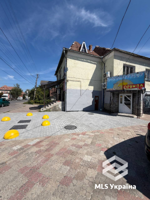 Івано-Франківська обл., м. Калуш, 22 Січня